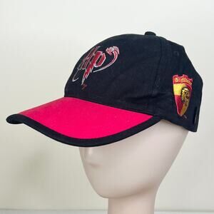 Harry Potter Gryffindor Vintage 2000 Embroidered Adjustable Hat Cap OS One Size